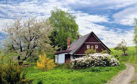 Entretien régulier de jardin à Cavaillon  