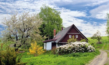 Entretien régulier de jardin à Cavaillon  